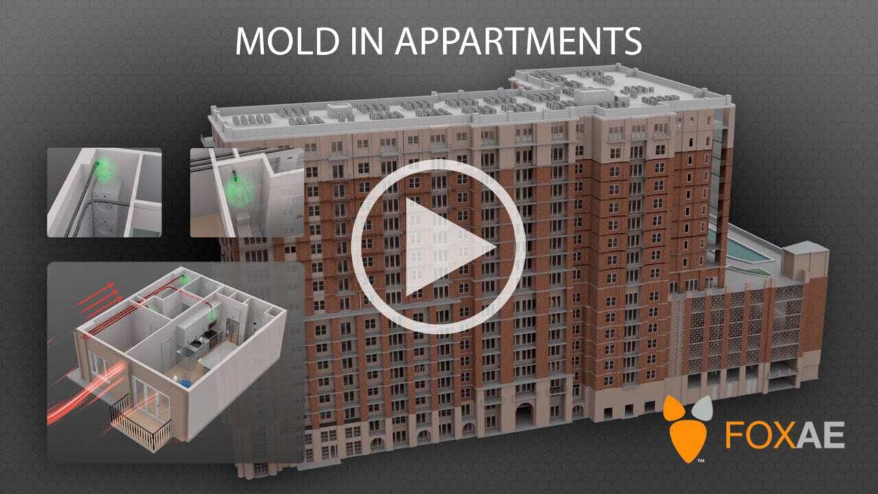 construction - mold in apartments