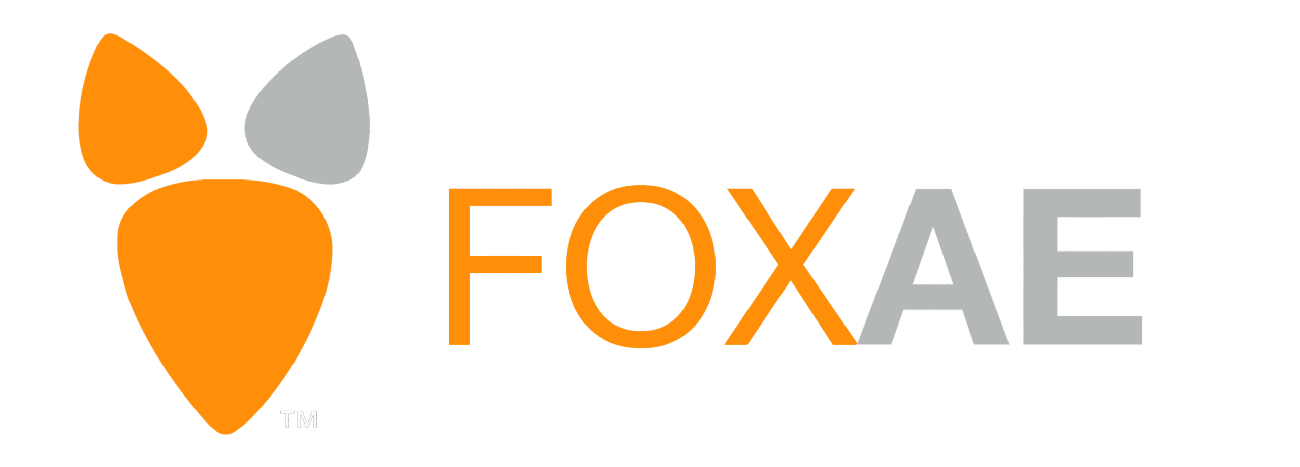 FoxAE Banner