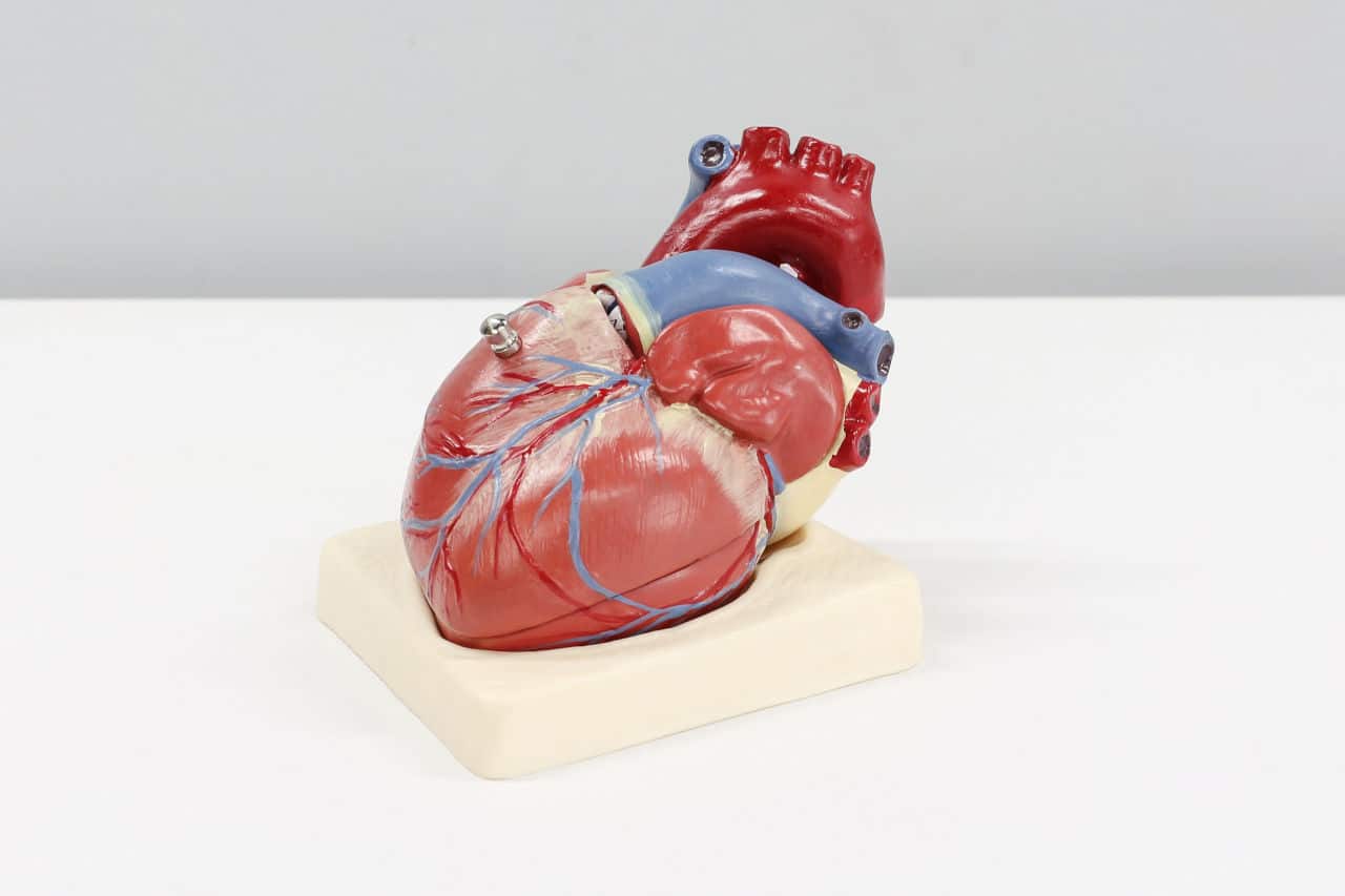 Artificial Heart Valves